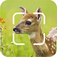 TrailCam Go(Ұ���������APP)