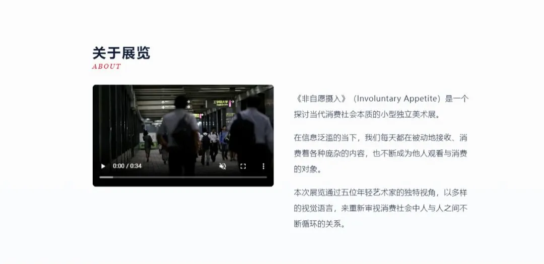 非自愿摄入网页版(视觉消费解剖)v1.0 手机版截图0