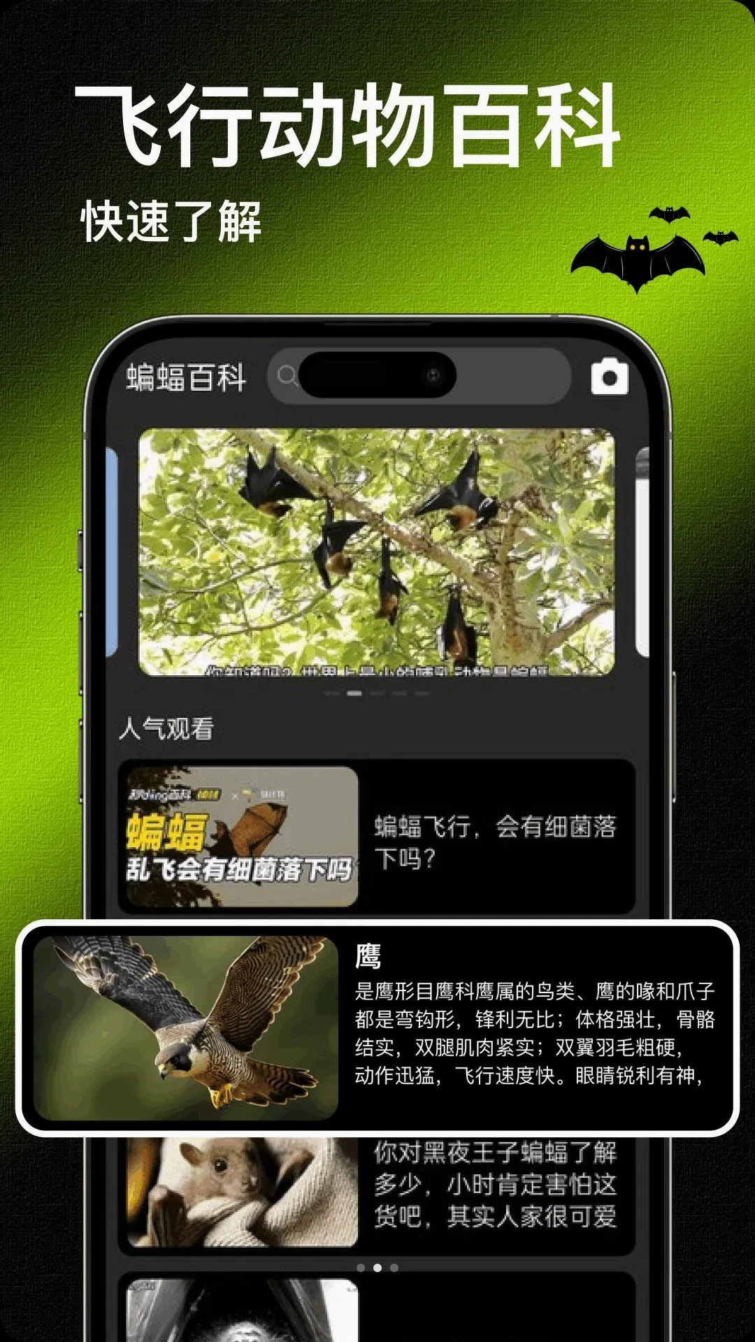 Bat���������ֻ���v1.2 �ֻ����ͼ2