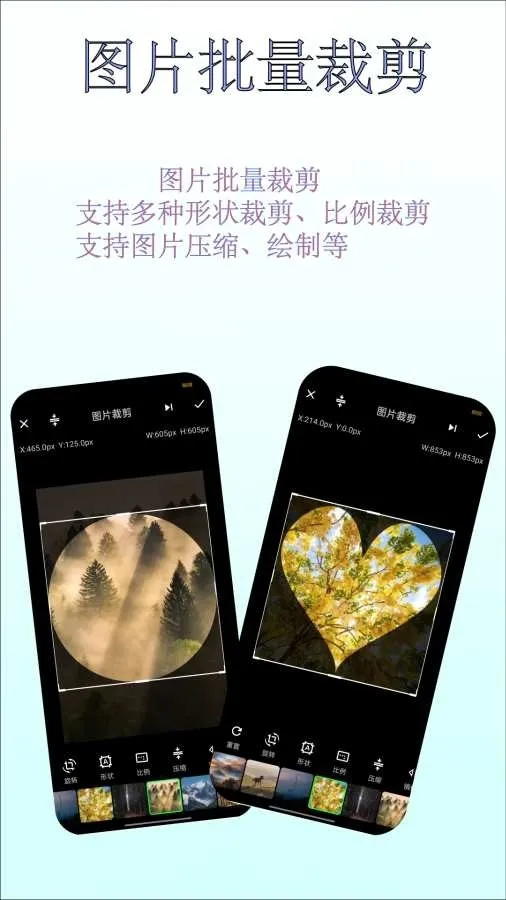 工具猫菊花文转换器安卓版手机版v1.2.1 安卓版截图2