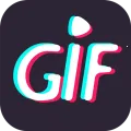 GIF����(��ͼ��������)