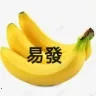�װlTV(����ֱ������)