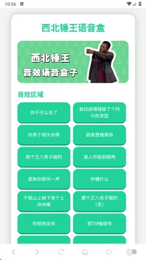 西北锤王语音盒(语音功能丰富软件)v1.02 手机版截图2