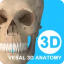 ά����3D����(ҽѧ����ѧϰƽ̨)