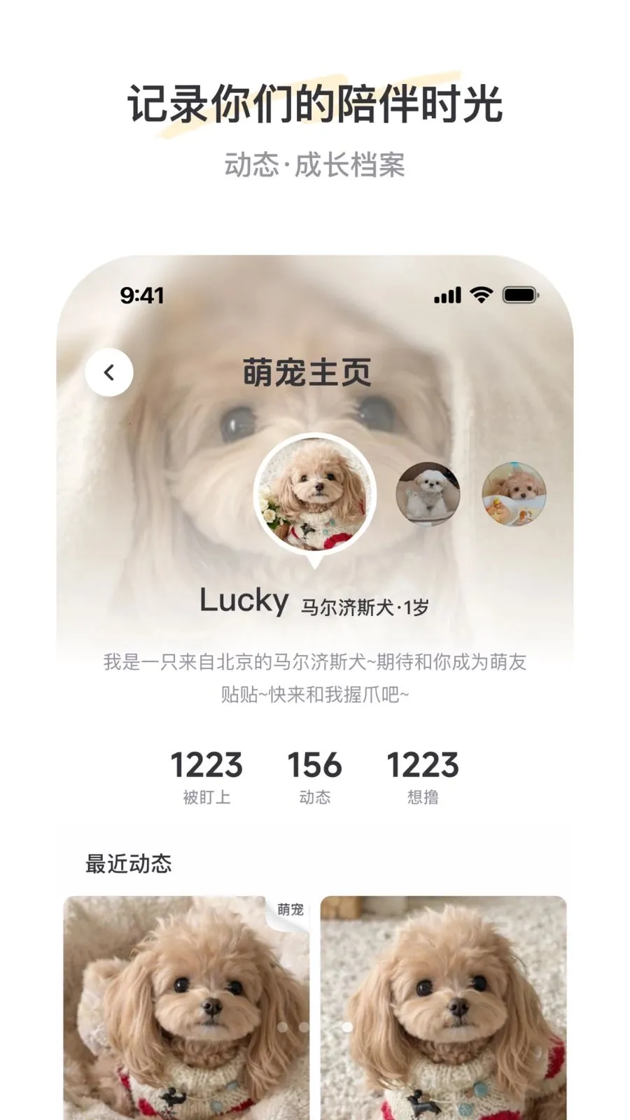 PetSpace(萌宠社交平台)v1.0 免费版截图3