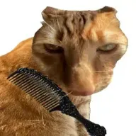 ��è��ë��׿���ֻ���