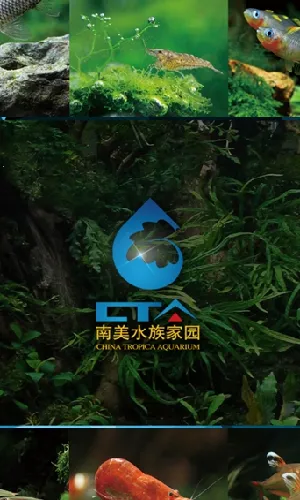 ����ˮ���԰��׿���ֻ���