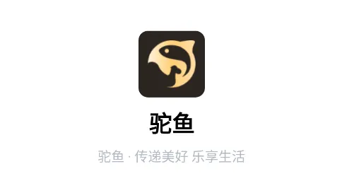 ����(��ҵ��ý��ƽ̨)