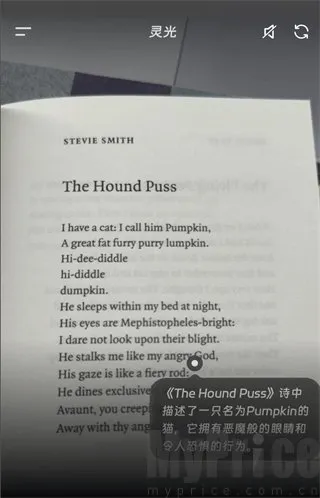 ���AI��������