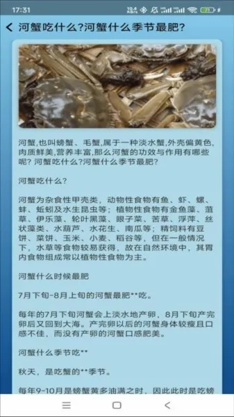 �����ֳ��׿���ֻ���