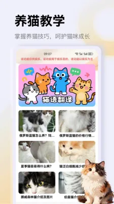 ����è��app��׿���ֻ���v1.4 ��Ѱ��ͼ3
