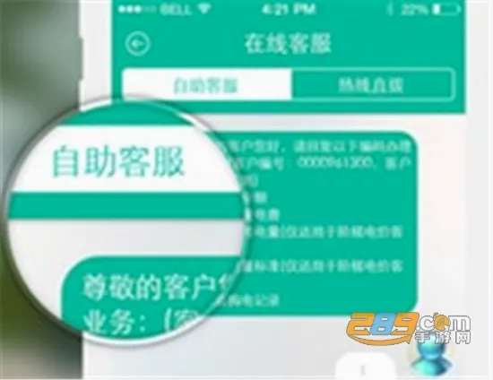 掌上电力(网上国网用电服务) 掌上电力(网上国网用电服务)