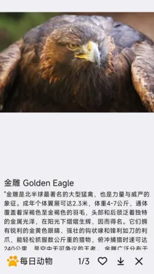 ÿ�ն���(����֪ʶ����)v1.0.0 �ֻ����ͼ0