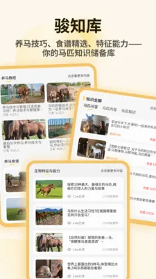 小马模拟器助手(养马管理APP)v1.0.4 手机版截图1