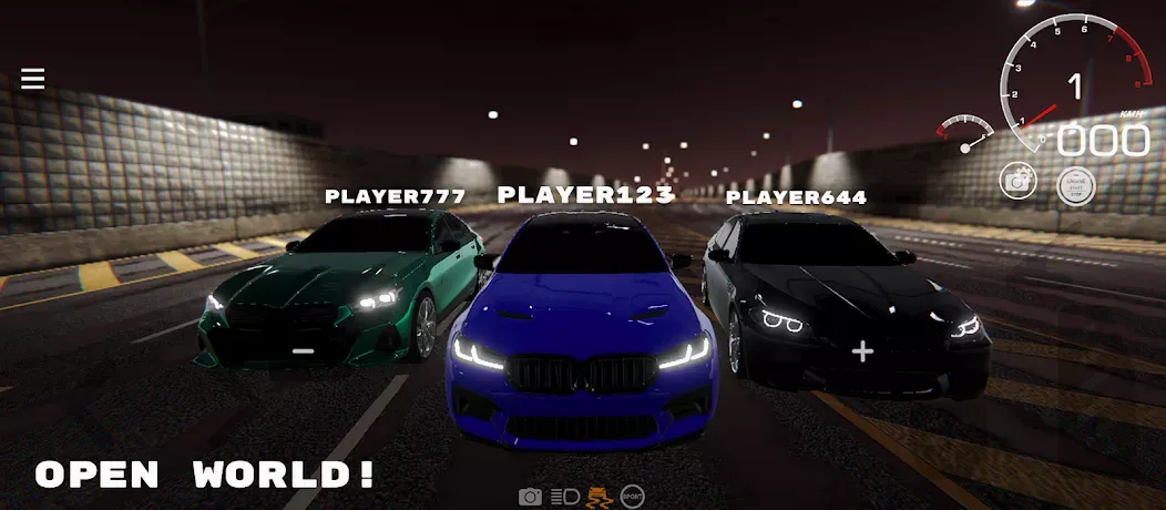 PROJECT R���ռ�����ģ����(����ģ����Ϸ)v0.2.04 �ٷ������ͼ2