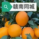 ����ͬ��2026�ٷ����°汾