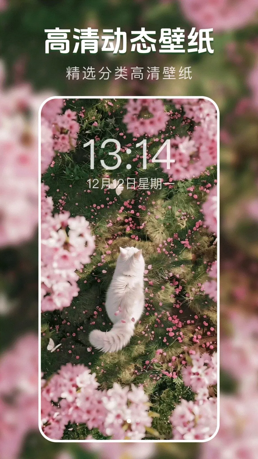 ��̬�����ֽ��2026�ٷ����°汾v1.0.0 �ֻ����ͼ1