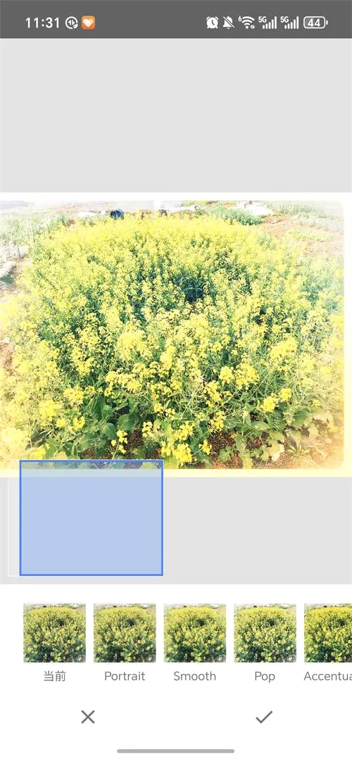 BetterSeed(图片处理工具)v2.22.0.633363672 免费版截图0