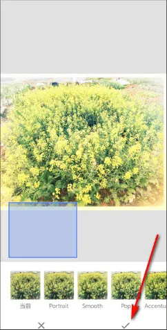 BetterSeed(图片处理工具) BetterSeed(图片处理工具)