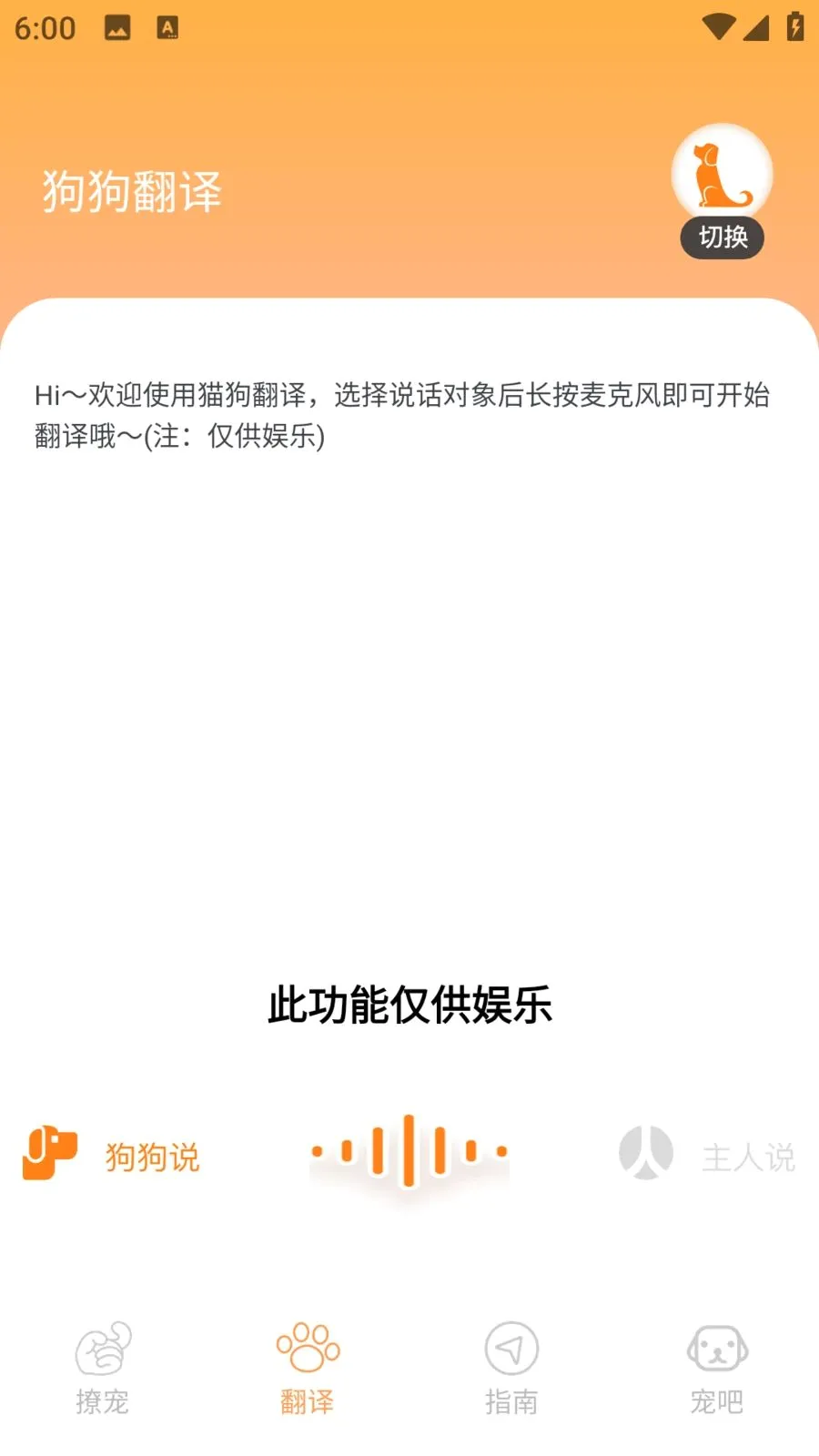 宠物猫2026最新版本v1.0.0 手机版截图2