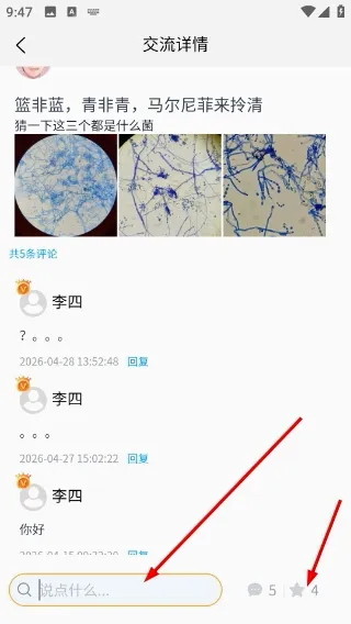 ����ʶ��(���ʶ�𹤾�)