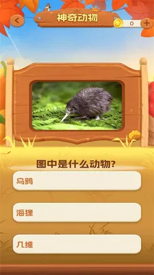 一听就会(音乐竞技社交应用)v1.0.3 安卓版截图1