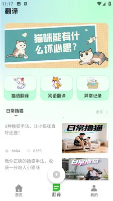 PEPPYCATè��ռ�2026�ٷ����°汾v3.0.0 �ٷ������ͼ0