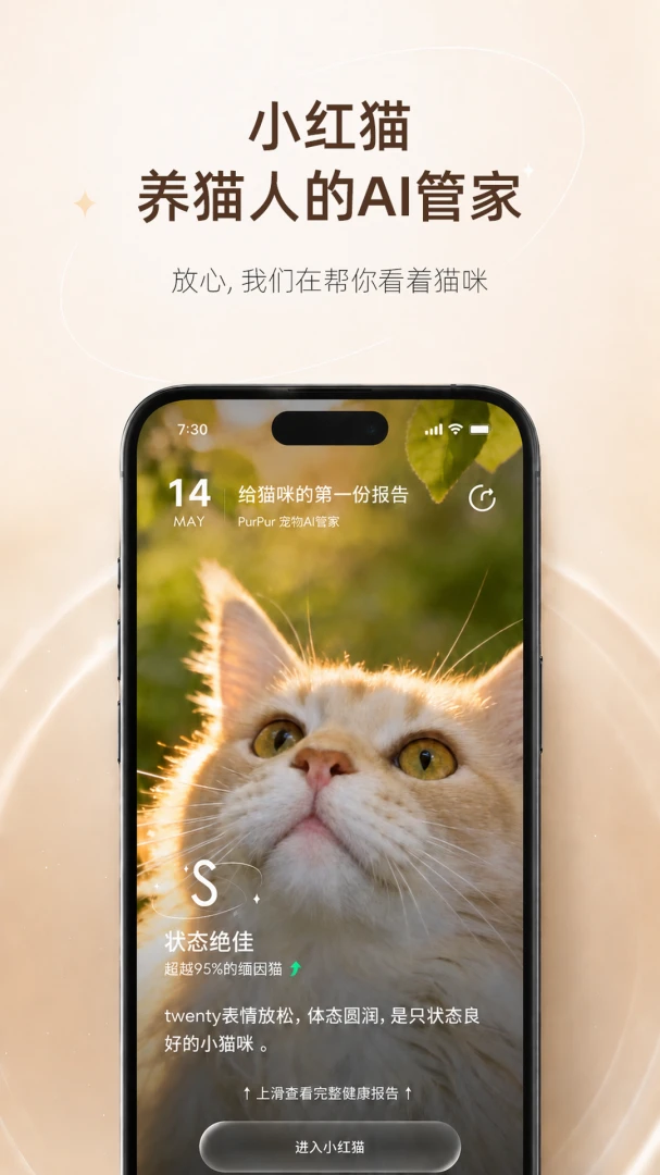 小红猫宠物AI管家(猫咪AI守护管家)v3.1.0006 免费版截图3