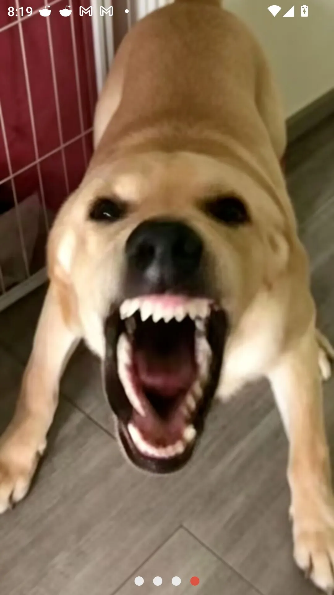 �󹷽���Ϸ������ư�(������ģ����Ϸ)v1.1 ��׿���ͼ3