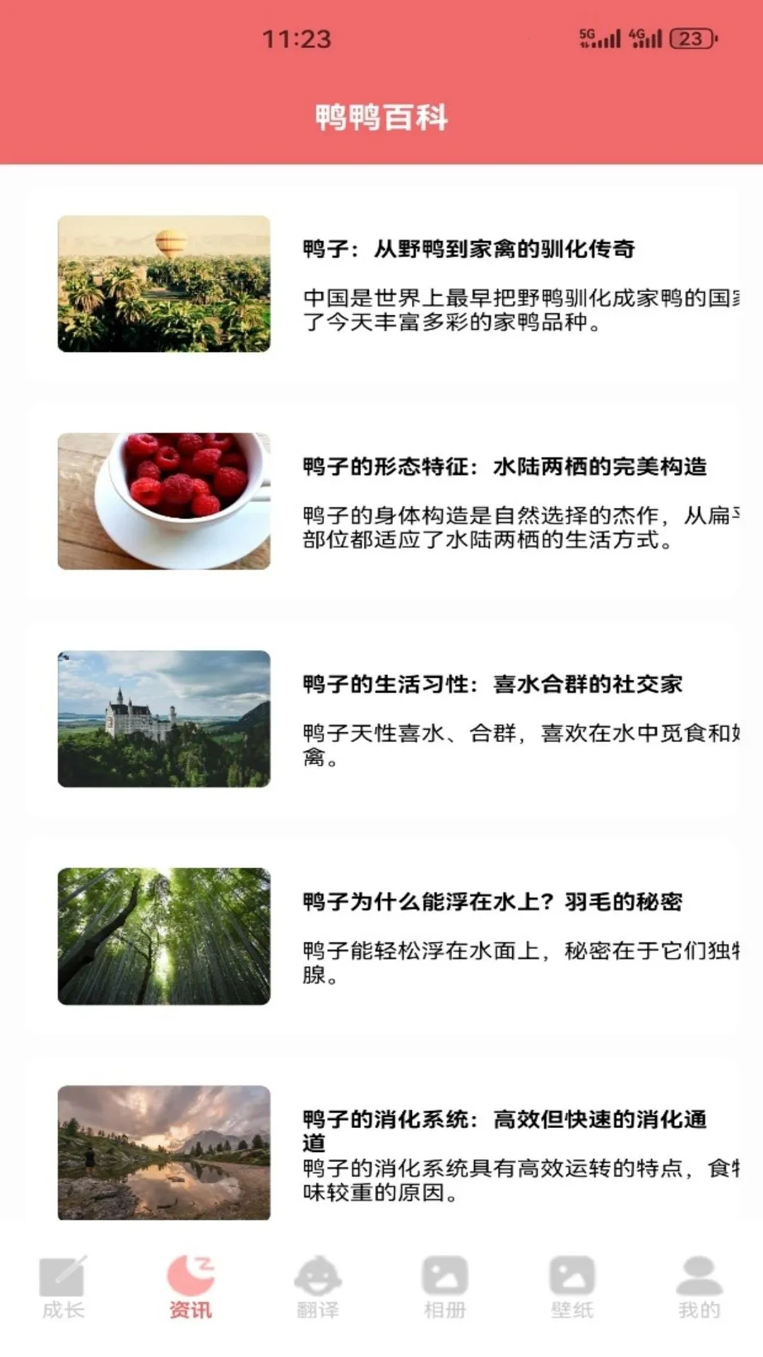 鸭鸭来财财(宠物鸭成长应用)v1.3 安卓版截图3