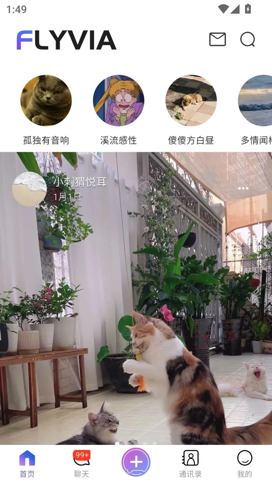 FLYVIA(全场景社交利器)v2.1.2 官方正版截图1