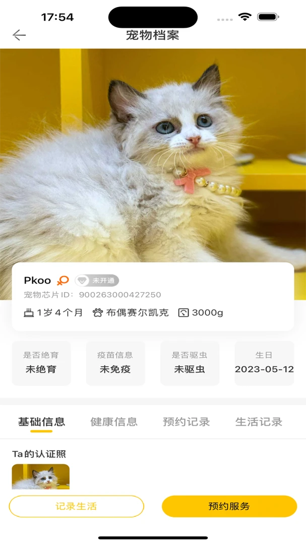 超级彼得最新手机版v1.0.11 手机版截图3