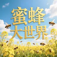 �۷������(��Ʒչʾ����̨)