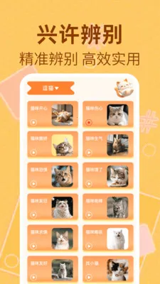 猫狗萌语翻译器2026最新版本v1.0.2 官方正版截图1