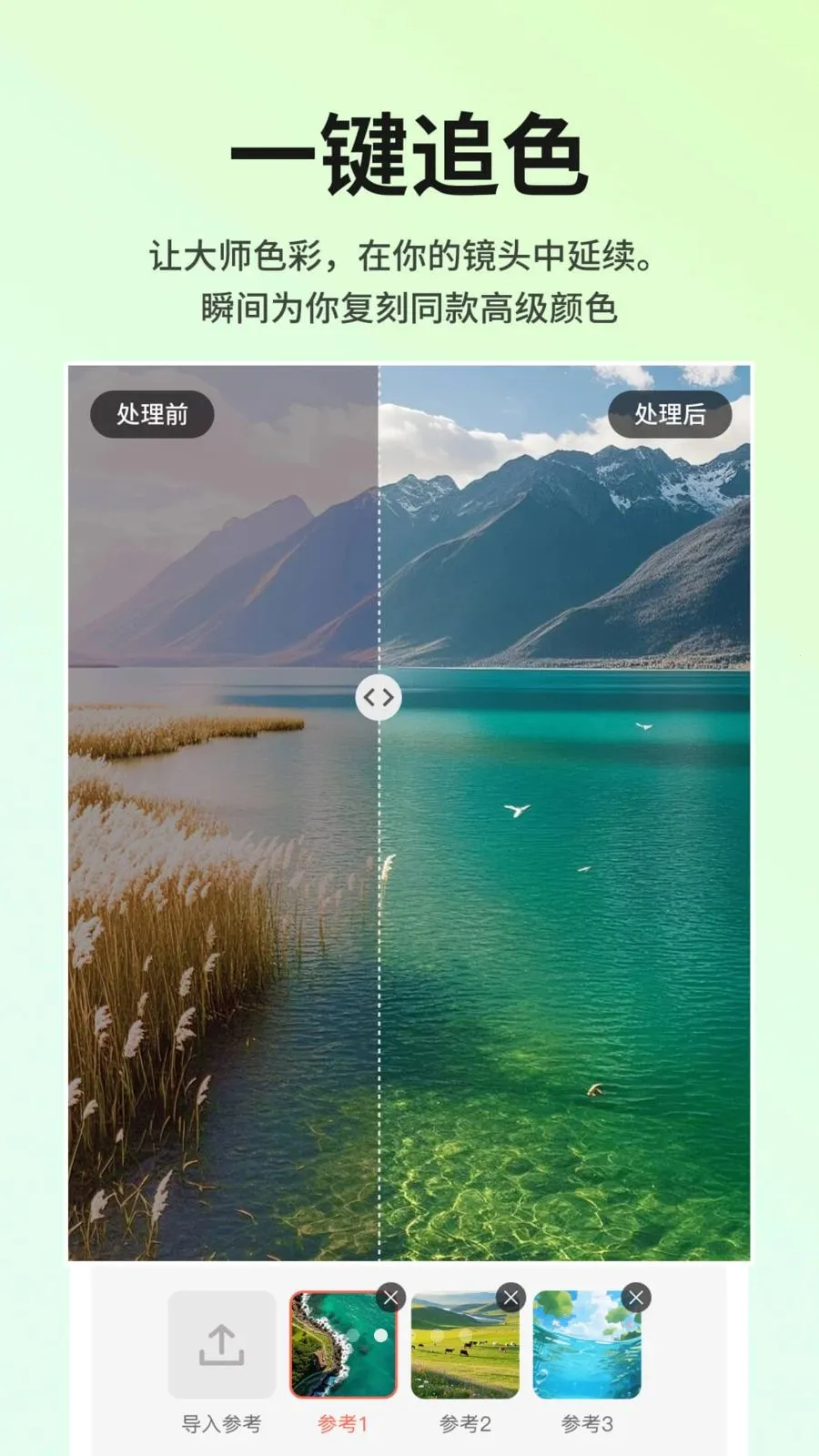 color by ��Ƭ��ɫ��ɫ2026���°汾v1.0.0 ��׿���ͼ1