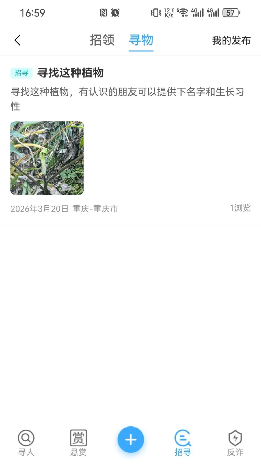 蓝星(同城服务平台)v1.0.4 安卓版截图0