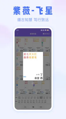 紫薇排盘(易学排盘工具) 紫薇排盘(易学排盘工具)