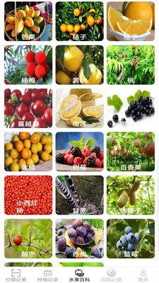 �౦��԰2026�ٷ����°汾v2.6.7.3 �ٷ������ͼ1