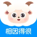 ����(�����ز�ƽ̨)
