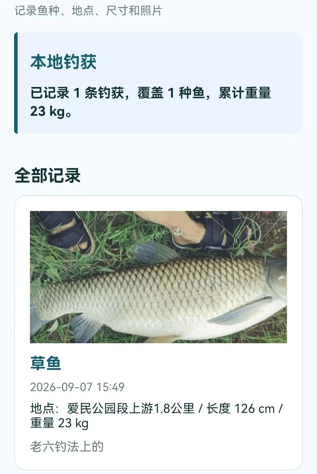 ���������鱨ָ��2026���°汾v1.0.0.4 �ֻ����ͼ3