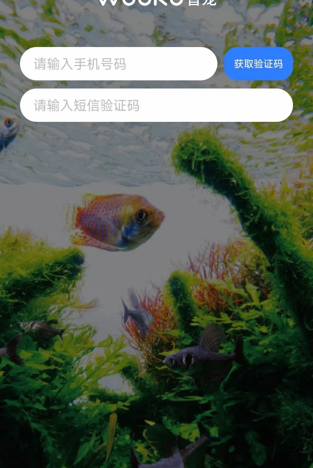 WOOKU�ǳ������ֻ���v1.0.29 �ֻ����ͼ0