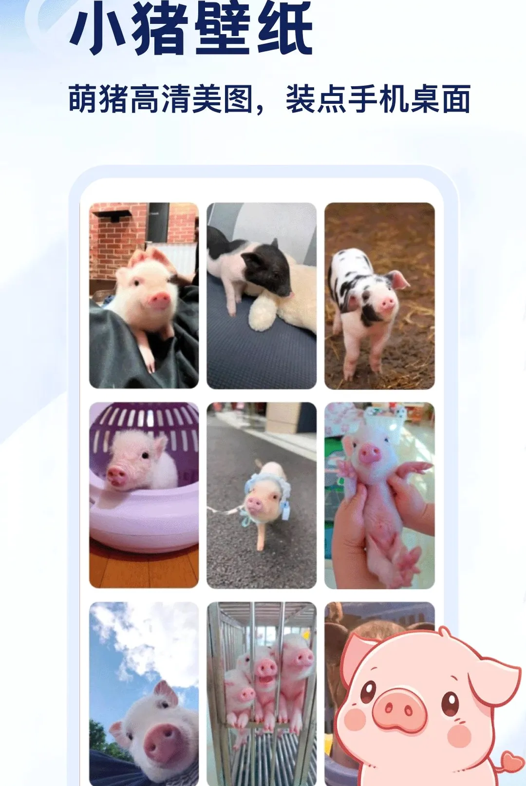 ����APP(С������ƽ̨)v5.2 �ٷ������ͼ3